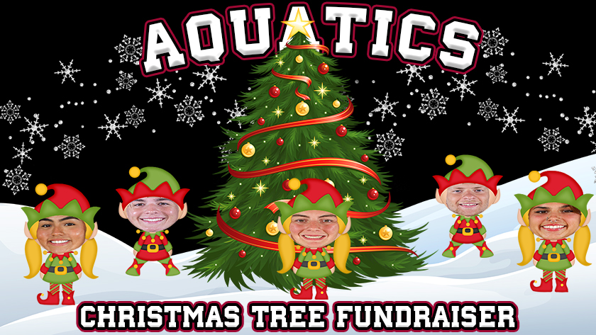 Aquatics Christmas Tree fundraiser with elves and tree